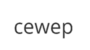CEWEP – Confederation of European Waste-to-Energy Plants: Management CI and Website Development